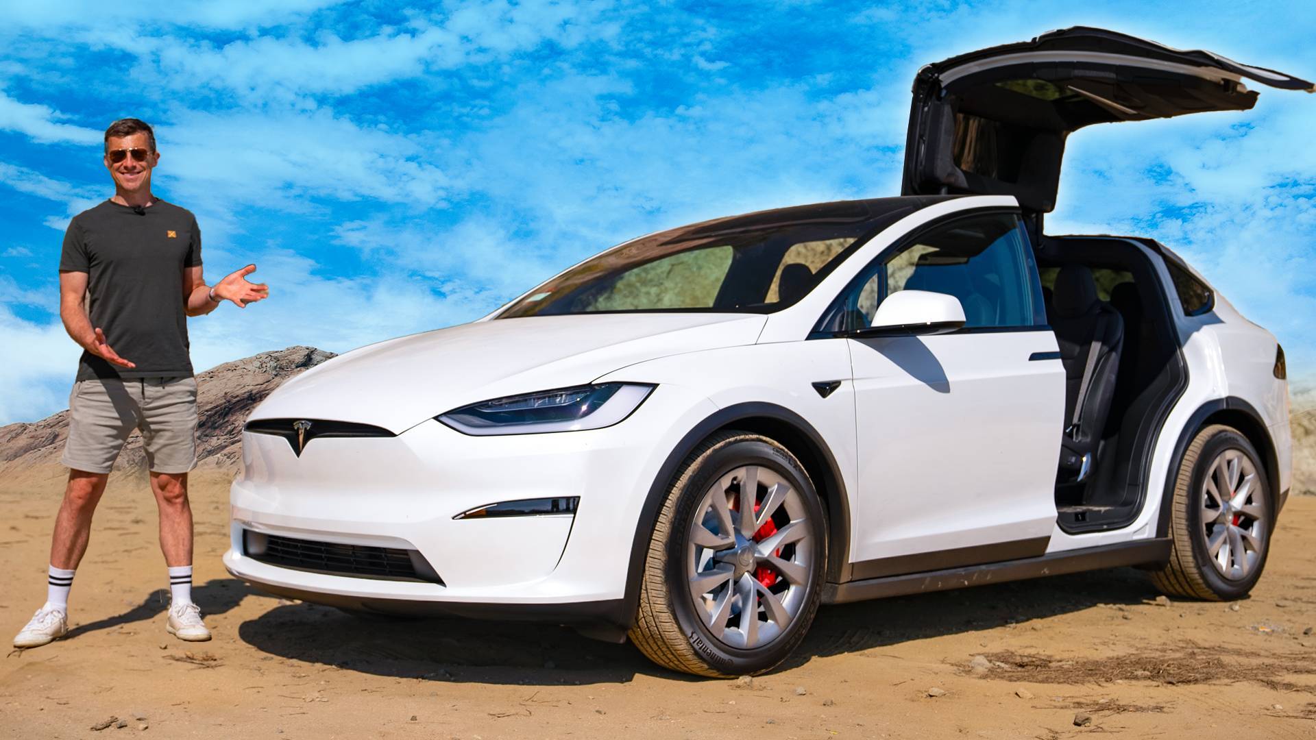 Tesla model deals x quality issues